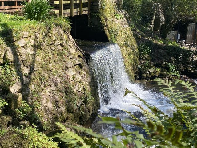 Parc naturel en Bretagne d'un hôtel de charme 